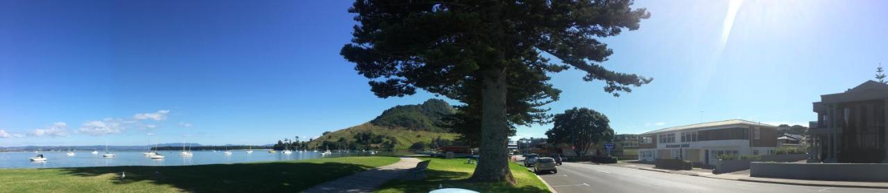 Westhaven Motel Tauranga Dış mekan fotoğraf